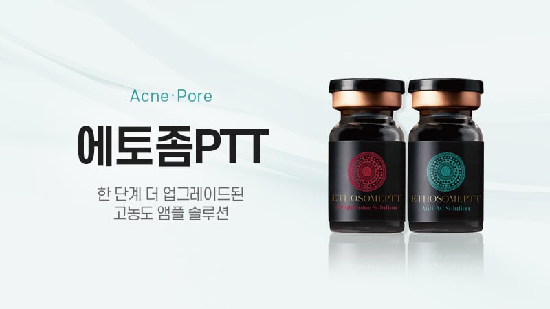 에토좀PTT